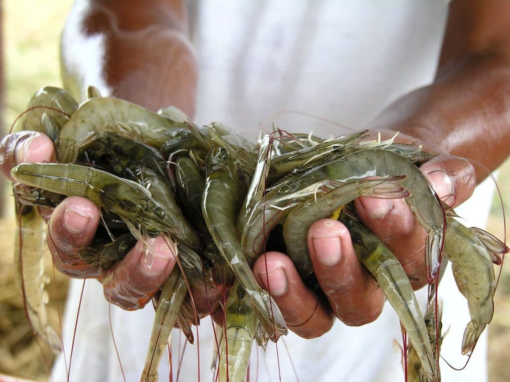 La CNA hace un llamado al presidente electo para que tome medidas en relación a la seguridad y la mejora de la competitividad